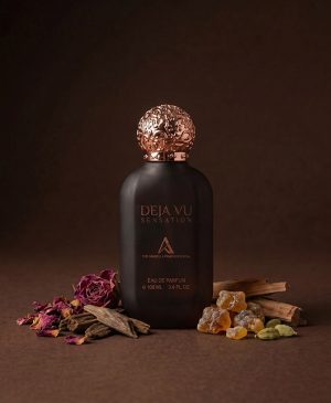 DEJAVU SENSATION